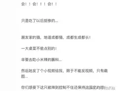 喵星人吃完辣椒吃完后的反应竟然是这样！让我惊呆了！图片