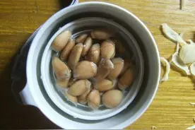 教你做个既简单又好看的桌面小盆栽图片