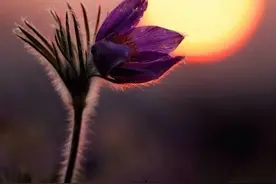 即使余情未了，也知道彼此都回不到过去了，这就是成长！图片