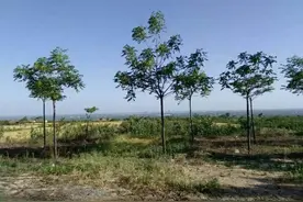 郭氏宗亲看过来——寻找大唐汾阳王郭子仪墓址记2图片