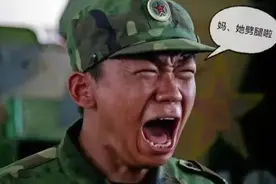 心疼的宝宝，耿直的宝宝，今天你更关注哪个“宝”图片