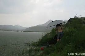 深山野钓，捡到三枚蛋，疑似丹顶鹤！图片