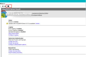针对SVN服务器端进行备份图片