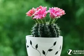 显为人知④：对电脑辐射坚定说“NO”！图片