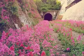 只要时间足够长，自然终会将文明的痕迹抹去图片