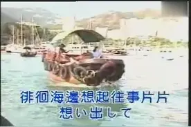 有人说邓丽君这歌是唱给成龙的《襟裳岬》图片