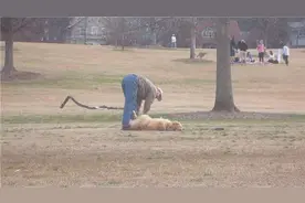 玩到不想回家的汪星人赖在地上不肯走，最后主人只好使出大绝招图片