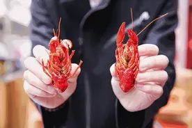 寻味莆田丨再不吃小龙虾夏天就过啦！图片