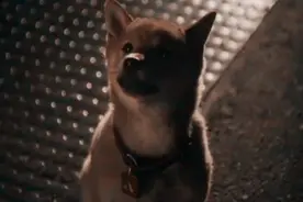 你的一次小决定，让我注定一生守候着你（狂虐飙泪）图片