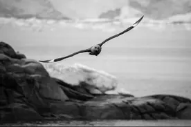 增距镜（增倍镜）是什么？如何使用？－摄影早自习第200日图片