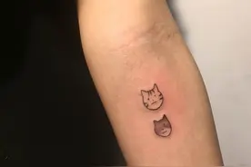 一位司机在开车途中看到一只黑猫过在马路，立刻停车礼让，太有爱图片