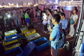 善男信女公园放生大量泥鳅鳝鱼图片