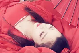 小说：飘零半生只恨未逢明主，公若不弃宁愿拜为义父图片