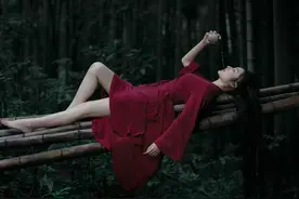 小说：小人物也可以在这修真之界创造历史！图片