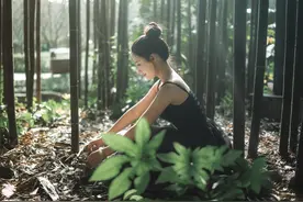 总是如此不经意（7）图片