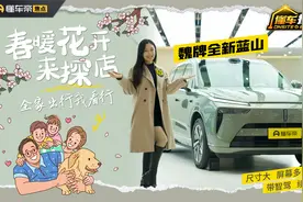 尺寸大，屏幕多，带智驾！探店魏牌全新蓝山，全家出行真不错！