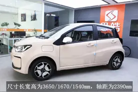 微型纯电车丨五门五座，续航301公里，花仙子是否值得买？图片