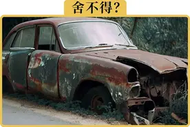 路边僵尸车这么多，为啥不拿去报废图片