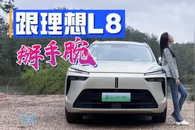车若初见：跟理想L8掰手腕 静静试驾魏牌蓝山DHT-PHEV视频封面