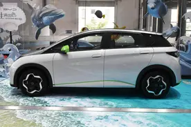 上班代步开电动车就行，比亚迪海豚操控性好，动力强还省电图片