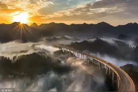 小说：天上有时会下猪图片