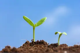 多维度深挖自律背后的意义，看完此文，你就明白自律是多么重要图片