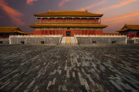 鹰与兔图片