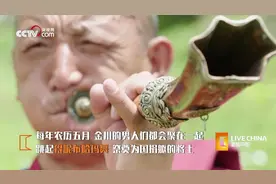 中国雪梨之乡，在金川县，长见识了！