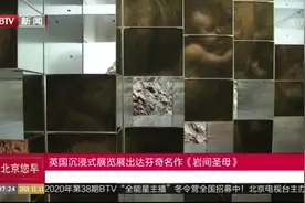 25年画一幅《岩间圣母》 达芬奇画作在英国展出！视频封面