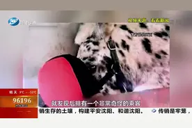 面包车高速“摇晃”行驶引怀疑，交警看到车内唯一的乘客时懵了视频封面