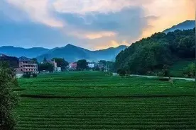 杭州之江豪宅区重启？多宗低密宅地即将上市图片