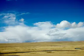 生物多样性保护|人工种草为青藏高原生物多样性恢复注入动力图片
