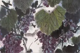 他画葡萄自出新意，别具一格图片