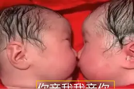 龙凤胎兄妹刚出生就“一直亲”，护士分都分不开，这画面太有趣图片