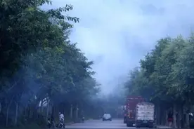 故事：阎王我要当图片