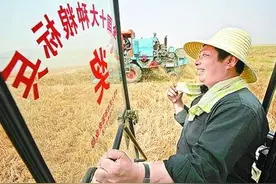 现在大部分农民不种粮，外出打工，怎么还粮食供应充足？图片