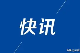 肥东2岁大男童坠亡后续：母亲涉故意杀人已被批捕图片