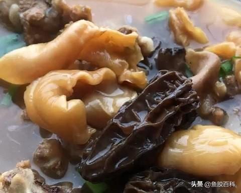 花胶当归汤热量 花胶当归汤热量多少