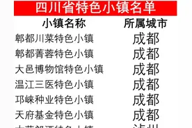 四川省确定了17个省级特色小镇，快来看看涉及到哪些城市的县市吧图片