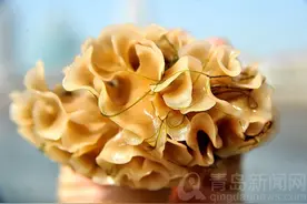青岛市民赶海偶遇奇特生物，专家比对确认身份图片