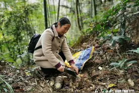 在内江，寻“味”春天图片