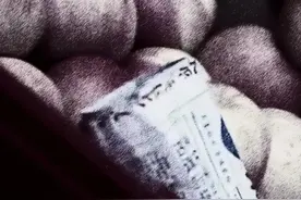 姑娘小小善意，逃犯良心发现：3个橘子之恩，5万元报案奖金相报图片