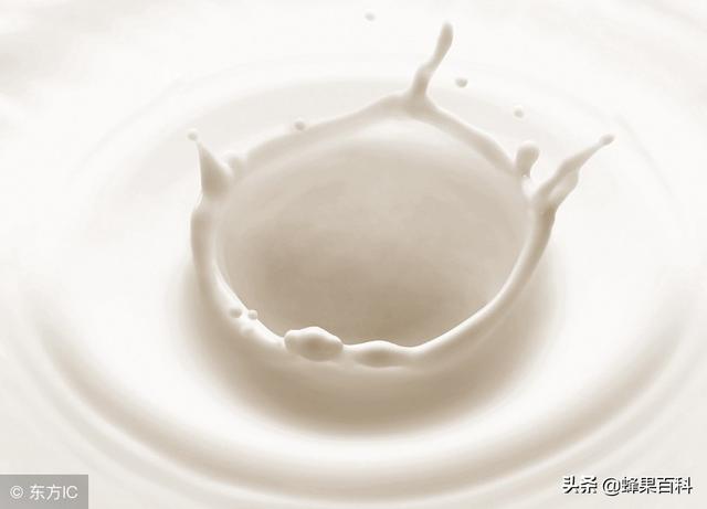 用牛奶制作的氨基酸水溶肥比市场上的更好，现在知道还不晚