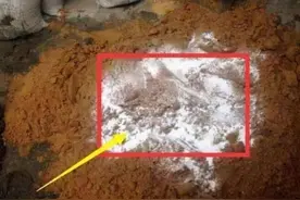 为什么工人要在水泥里加白糖？能阻碍水泥变硬，是真的吗？图片