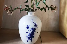 临时起意——中年人的浪漫和勇敢图片