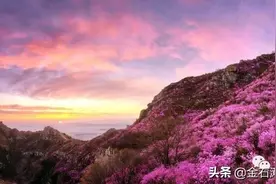 “花唤大黑山”--大连大黑山杜鹃花海季即将开启图片