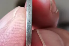 菊花一元 双眼皮图片