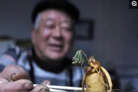 稀奇：大爷用人参泡酒，谁知7年后人参“活了”，酒都舍不得喝了图片
