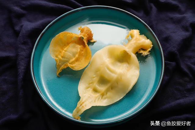 一周吃一次燕窝跟一次花胶 一周吃一次燕窝跟一次花胶一样吗