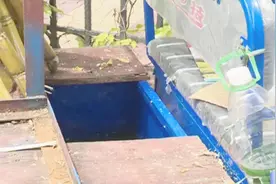 深圳：你还敢喝？路边“鲜榨”甘蔗汁 竟是用漂死虫的脏水勾兑！